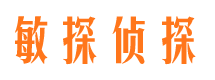 滨湖市侦探公司